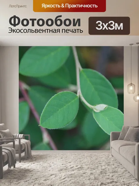 Фотообои Маленькие зеленые листья