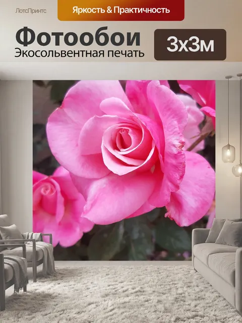 Фотообои Роза