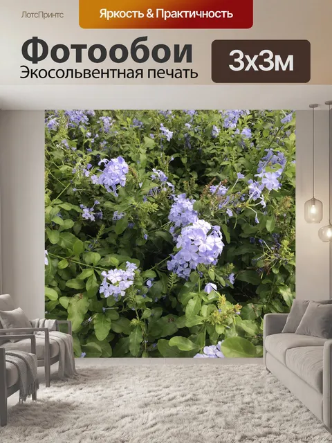 Фотообои Цветы 004