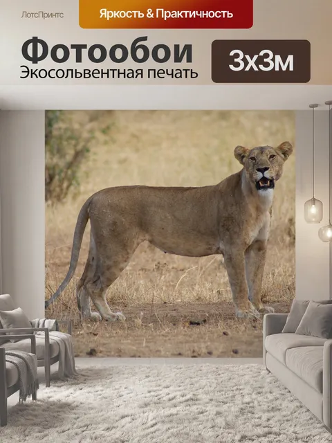 Фотообои Львица
