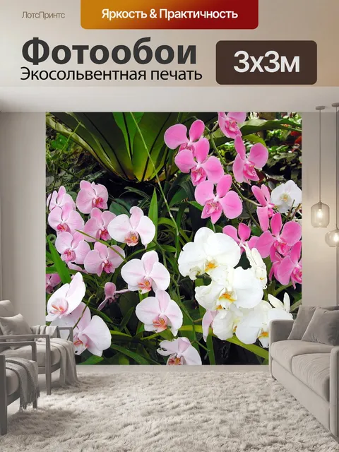 Фотообои Шри-ланка