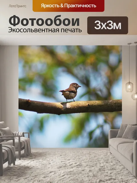 Фотообои Гоа маленькая птичка