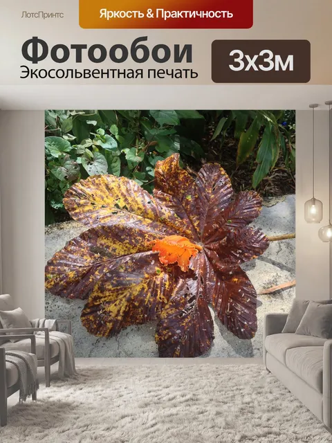 Фотообои Тропический лес