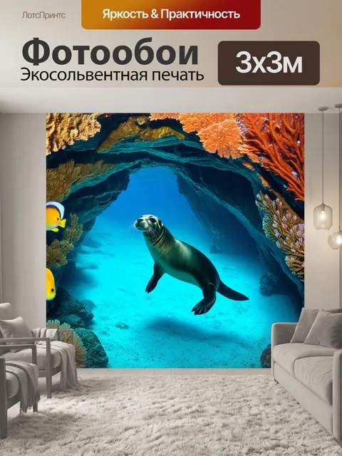 Фотообои тюлень, исследующий подводные caves, окружённый яркими кораллами и экзотическими рыбами