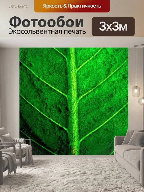 Фотообои текстура листа
