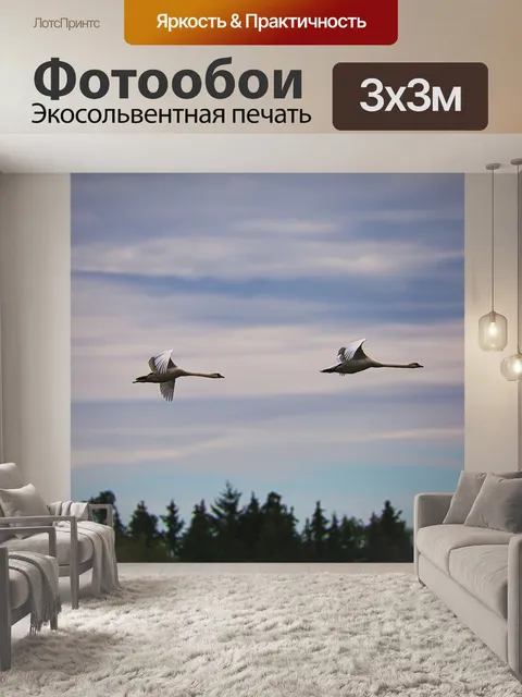Фотообои Лебеди
