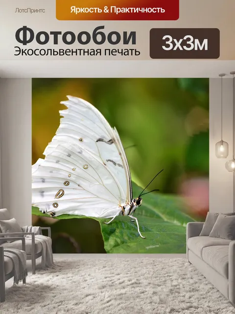 Фотообои Бабочка