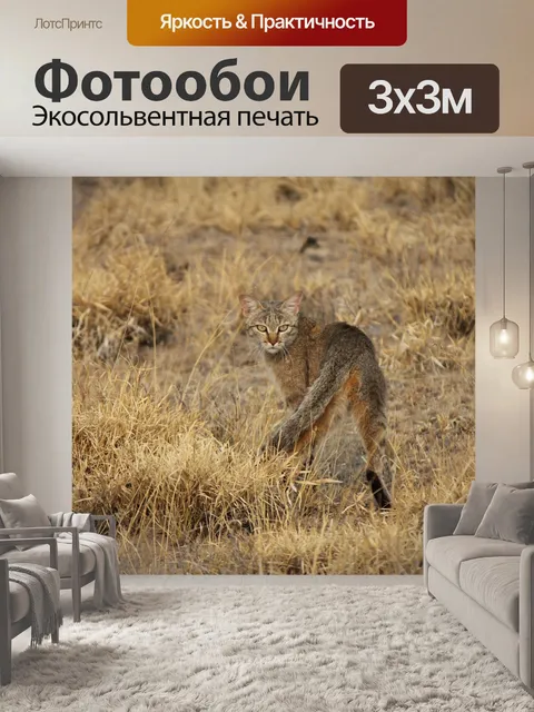 Фотообои Дикий кот