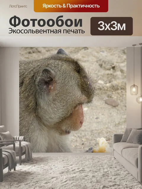Фотообои Животные на природе