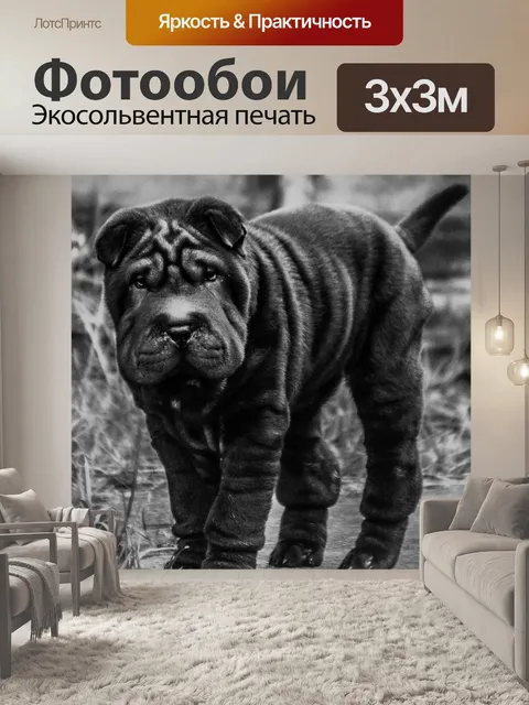 Фотообои Щенок