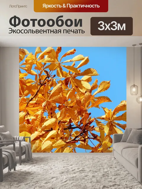 Фотообои Осенние листья