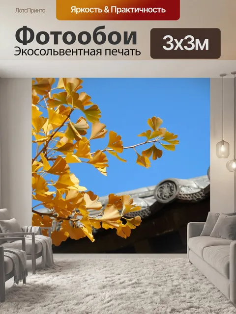 Фотообои Гинкго