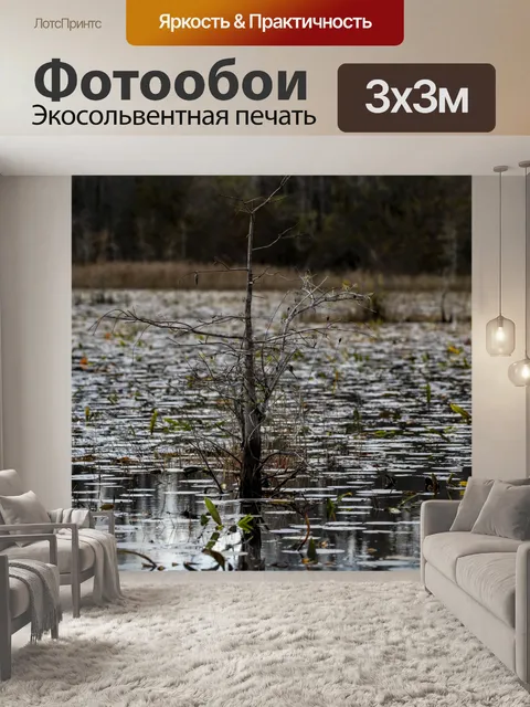 Фотообои мертвое дерево в болотах