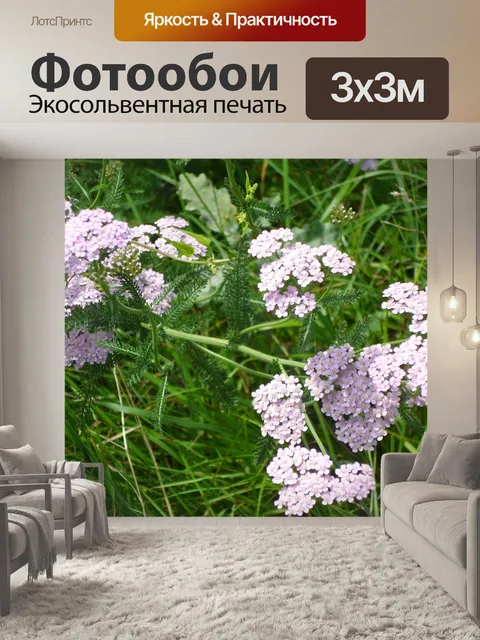 Фотообои Цветок