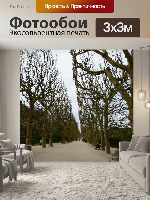 Фотообои Париж