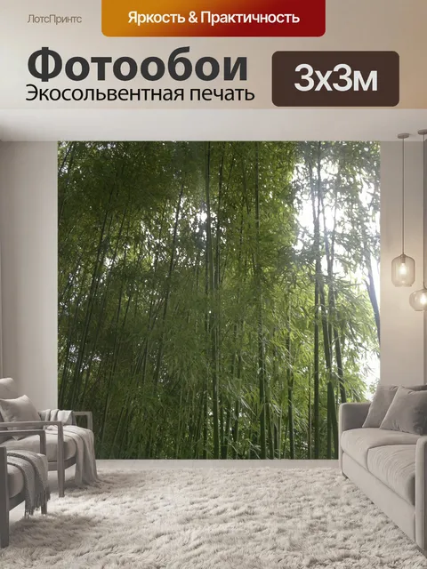 Фотообои Бамбук - Bambuseae