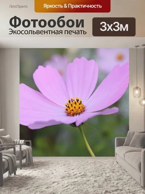 Фотообои Косме́я