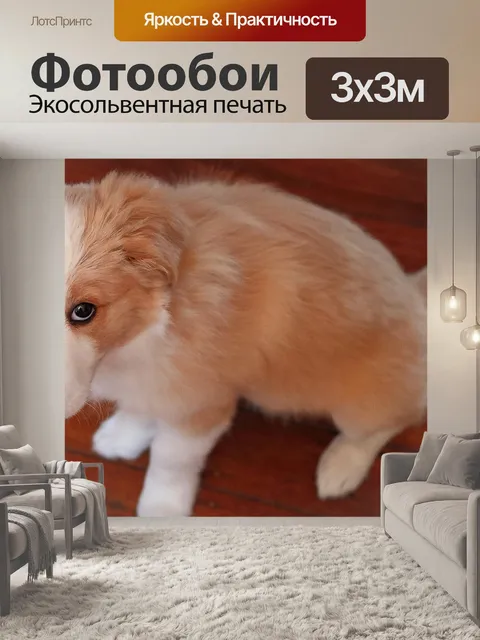 Фотообои Щенок