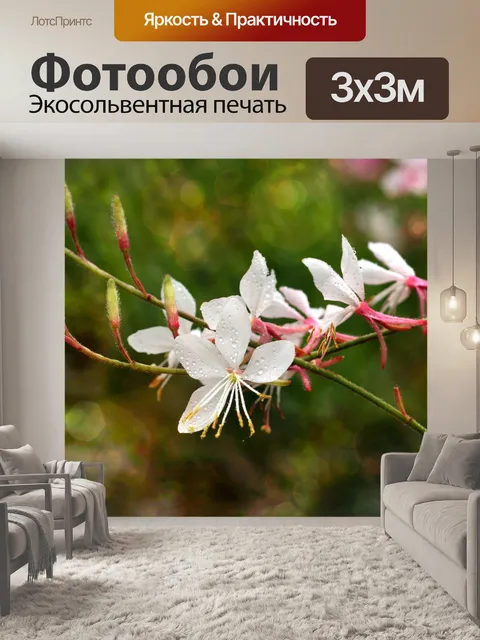 Фотообои Макрос цветочного сада