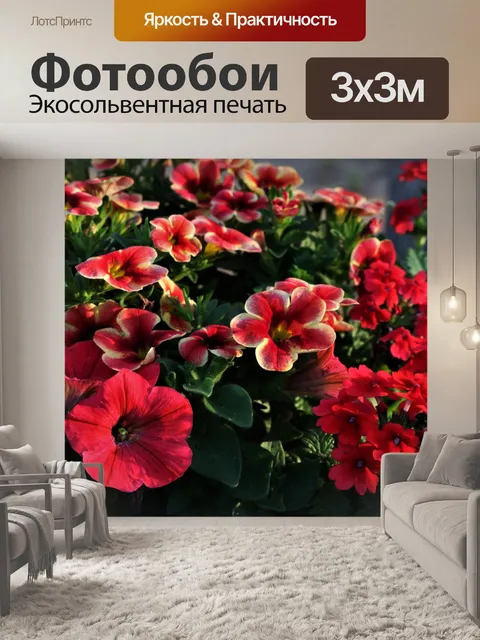 Фотообои Красные цветы петунии