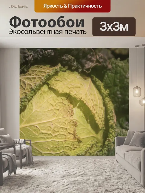 Фотообои Салат