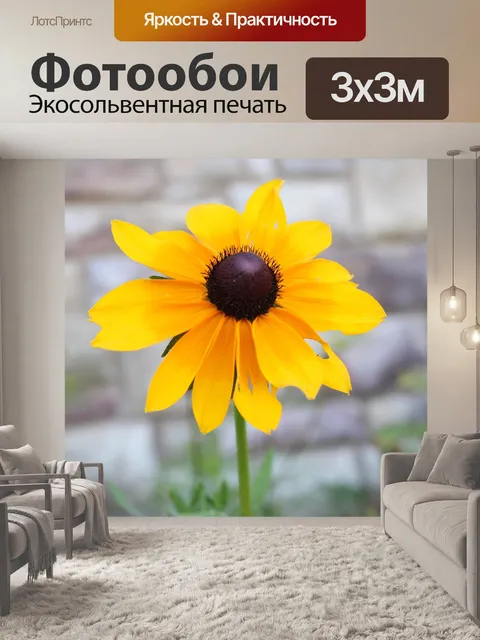 Фотообои Чернить