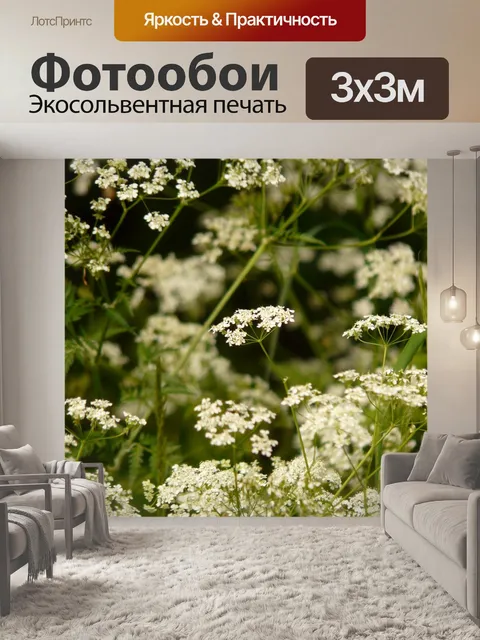 Фотообои Луговой кервель