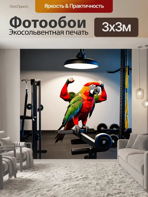 Фотообои оригинальный попугай на тренажере