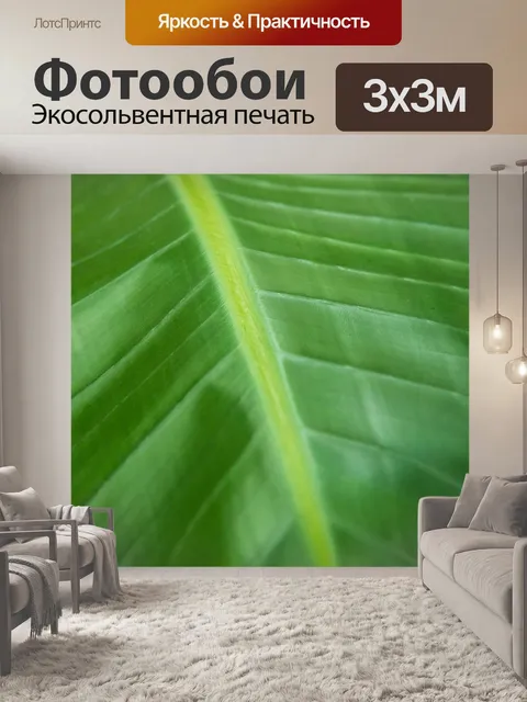 Фотообои зеленый лист крупным планом