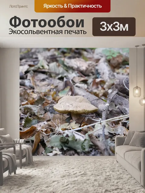 Фотообои Белые грибы, выходящие из листьев