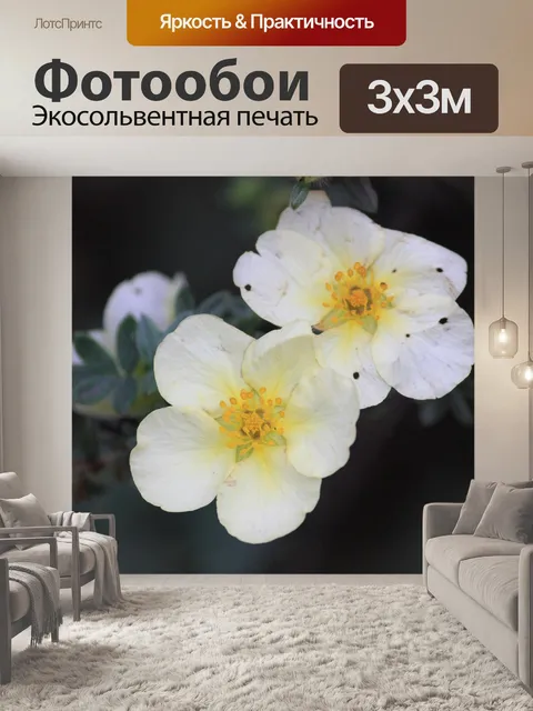 Фотообои Белый пятнистого цветов