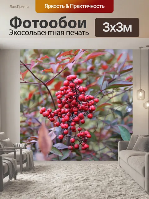 Фотообои Красные ягоды