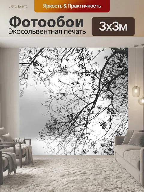 Фотообои Черно-белые ветки деревьев
