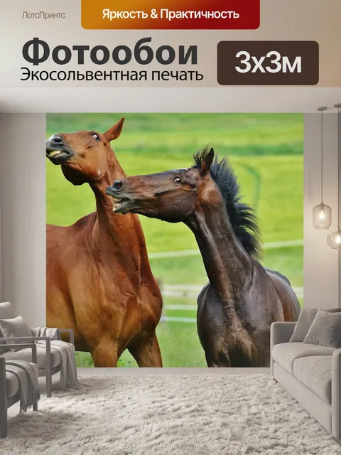 Фотообои Лошади