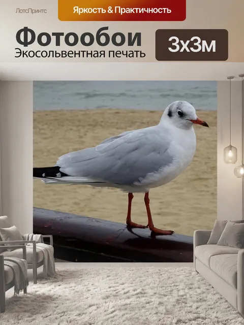 Фотообои Чайка на поручнях