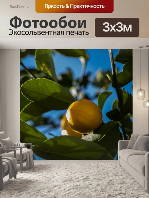 Фотообои Фрукты лимонного дерева