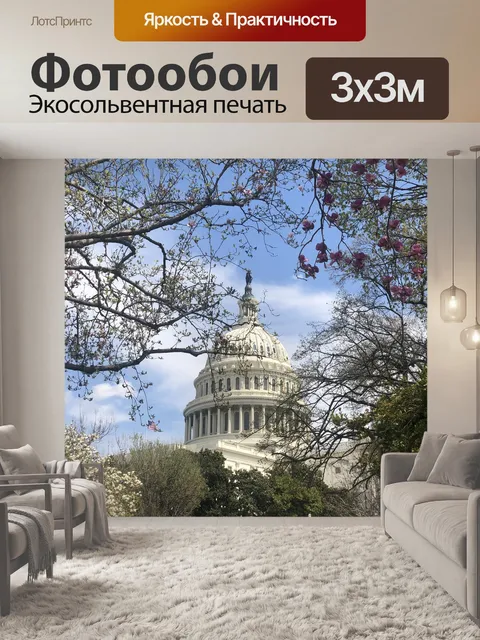 Фотообои Капитолий сша