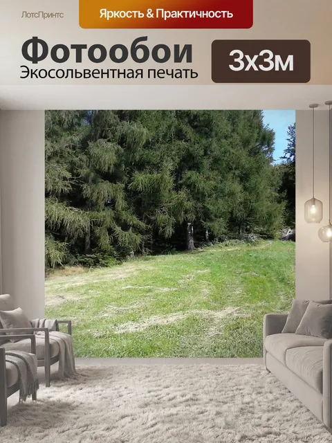 Фотообои Путь
