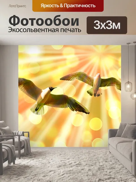 Фотообои Чайки