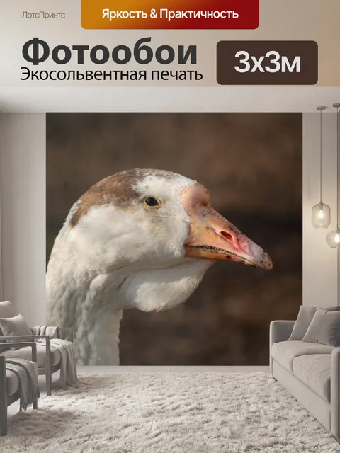 Фотообои Птицы