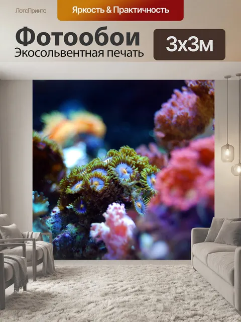 Фотообои Коралл