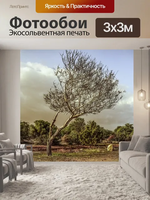 Фотообои Дерево