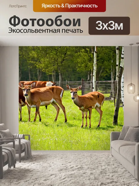 Фотообои охота: огороженный луг, где голодные олени принимают пищу у коров, а за ним могут высматриваться березы