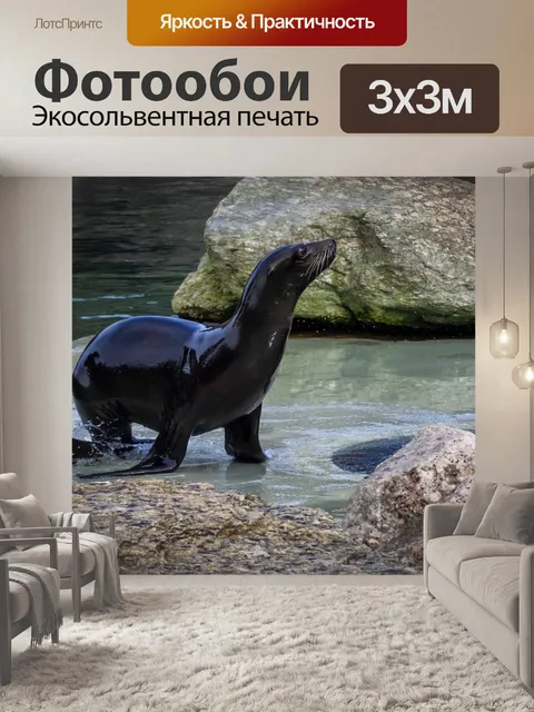 Фотообои Красивое животное