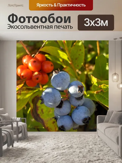 Фотообои Cornus канадская и черники