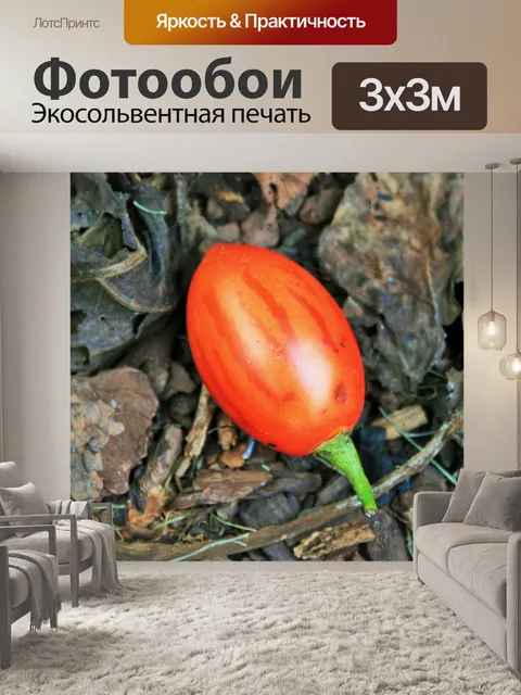Фотообои дерево томатный фрукты упали