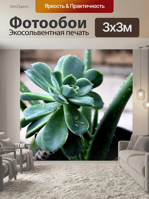 Фотообои Камень розы