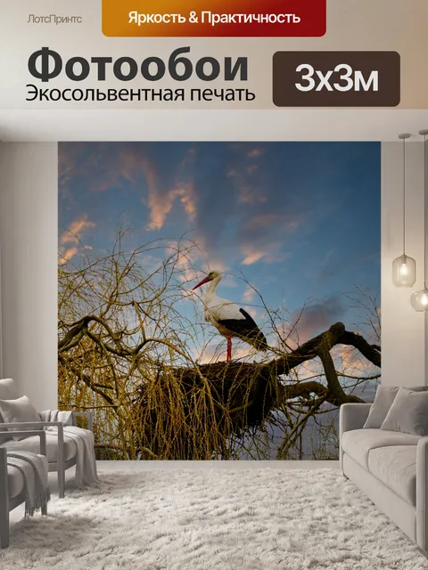 Фотообои Аист, крупная птица