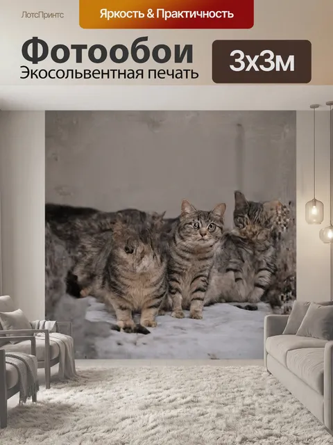 Фотообои majestic feline talisman
