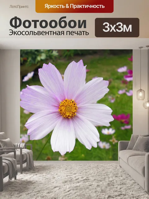Фотообои Польша